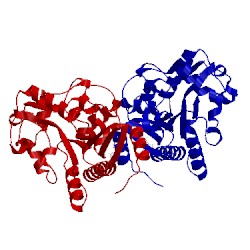 Image of CATH 1frz