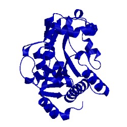 Image of CATH 1fs6