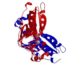 Image of CATH 1fsg