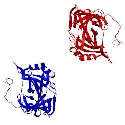 Image of CATH 1fsq