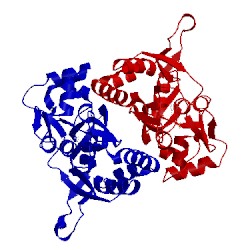 Image of CATH 1ftl