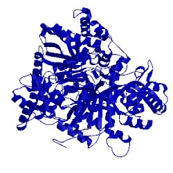 Image of CATH 1ftq