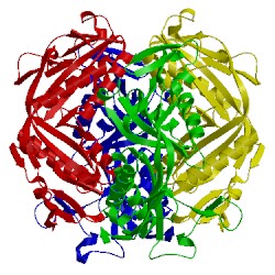 Image of CATH 1ftr