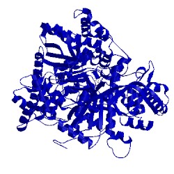 Image of CATH 1fu4