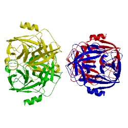 Image of CATH 1fuj