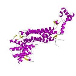 Image of CATH 1fuoB