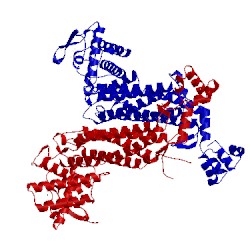 Image of CATH 1fur