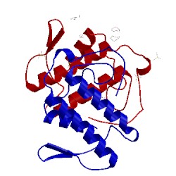 Image of CATH 1fv0