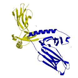 Image of CATH 1fv1