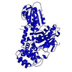 Image of CATH 1fvh