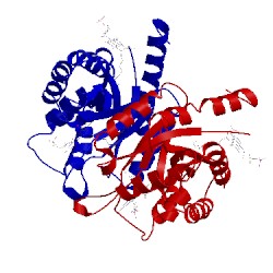 Image of CATH 1fvp