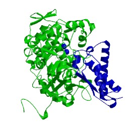 Image of CATH 1fwc