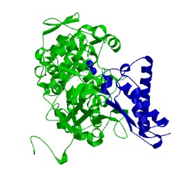 Image of CATH 1fwf