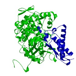 Image of CATH 1fwg