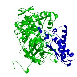 Image of CATH 1fwj