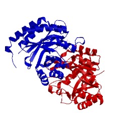 Image of CATH 1fwn