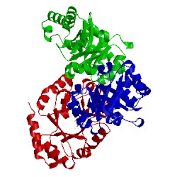 Image of CATH 1fwr