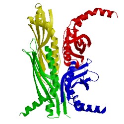 Image of CATH 1fx3