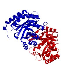 Image of CATH 1fx6