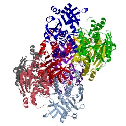 Image of CATH 1fxo