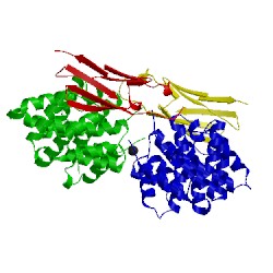 Image of CATH 1fyh