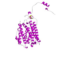 Image of CATH 1fyzD