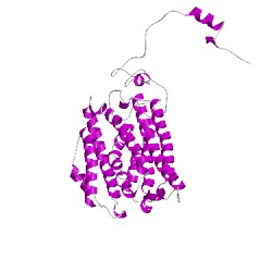 Image of CATH 1fz4D