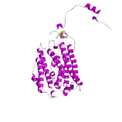 Image of CATH 1fz5D