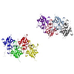 Image of CATH 1fzd