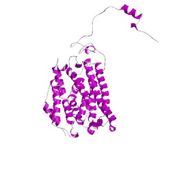 Image of CATH 1fzhD