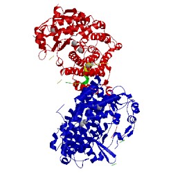 Image of CATH 1fzi