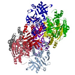 Image of CATH 1fzw