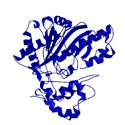 Image of CATH 1g0w