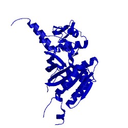 Image of CATH 1g19