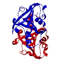 Image of CATH 1g1b