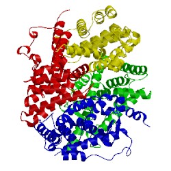 Image of CATH 1g1u