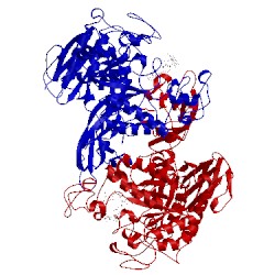 Image of CATH 1g1y