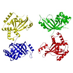 Image of CATH 1g24