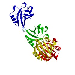 Image of CATH 1g28