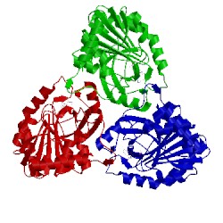 Image of CATH 1g2o