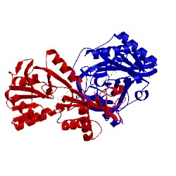 Image of CATH 1g2w