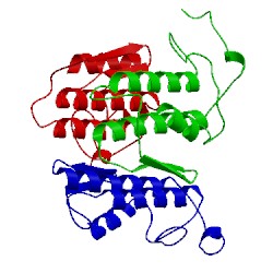 Image of CATH 1g2x