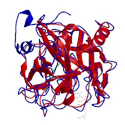 Image of CATH 1g30