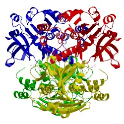 Image of CATH 1g3l