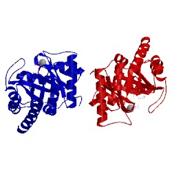 Image of CATH 1g4s