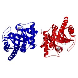 Image of CATH 1g4t