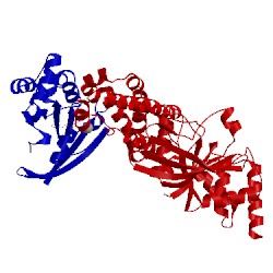 Image of CATH 1g4u