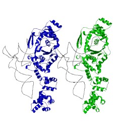 Image of CATH 1g59