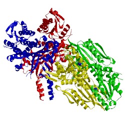 Image of CATH 1g5i