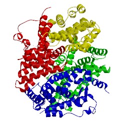 Image of CATH 1g5y